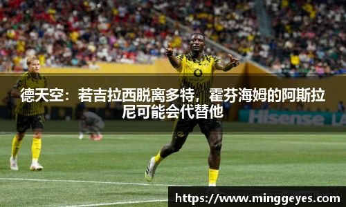 德天空：若吉拉西脱离多特，霍芬海姆的阿斯拉尼可能会代替他